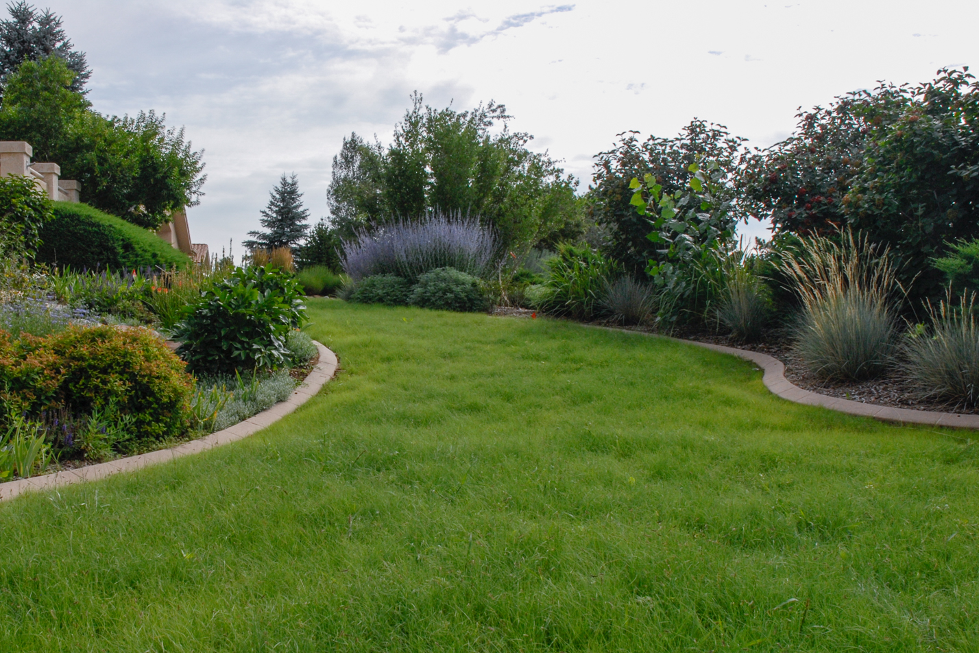 Blue Grama Conversion